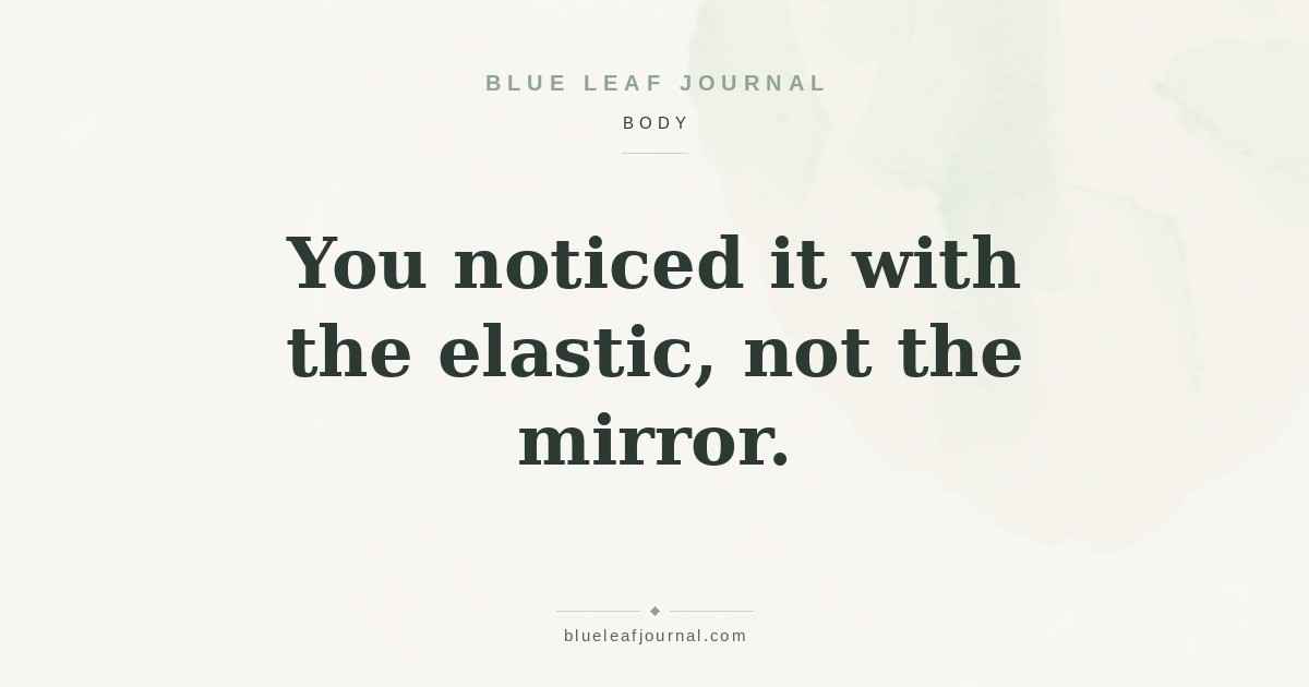Blue Leaf Journal cover reading "You noticed it with the elastic, not the mirror." - menopause hair thinning